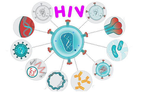 Hiv Vaccine Research Rekindles In 2024