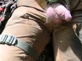 Hairy Bear Cock and Balls Pee Show